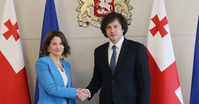 Кобахидзе: бывший посол США в Грузии "не ушла, а была уволена"