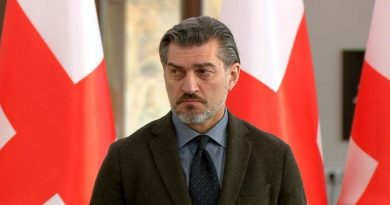 Кавелашвили предложил амнистию заключённым лидерам партий в обмен на участие в выборах