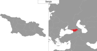 Политическая ситуация сегодня: Грузия и мир в условиях перемен
