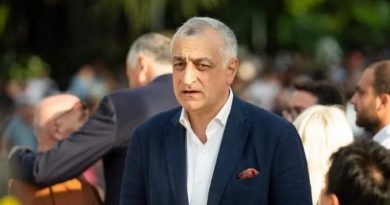 Посол Германии и семья Мамуки Хазарадзе: налоговая служба Грузии начала расследование