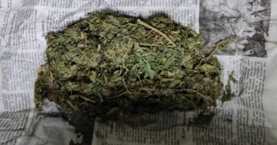 В Тбилисском аэропорту задержана иностранка с 19 кг марихуаны