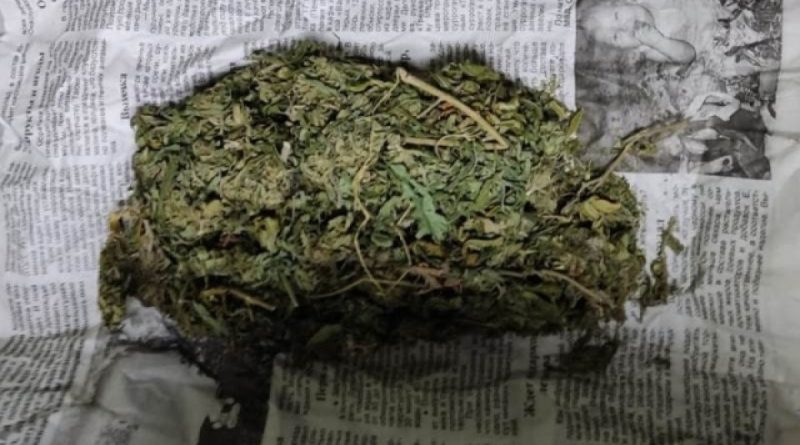 В Тбилисском аэропорту задержана иностранка с 19 кг марихуаны