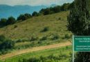 Незаконное задержание гражданина Грузии у линии оккупации