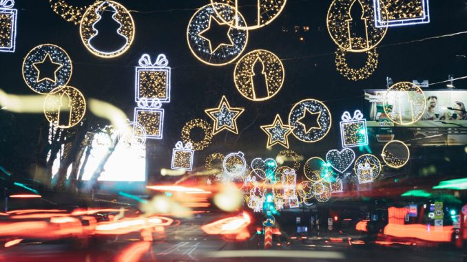 1702666631 ნაძვის ხე