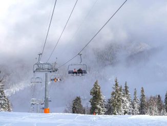 1766048496 1766047925 mtis trasebi