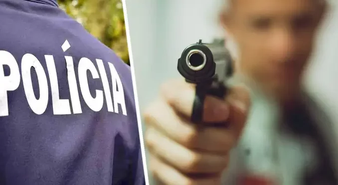 Pistolet politsiya 700x373 q60