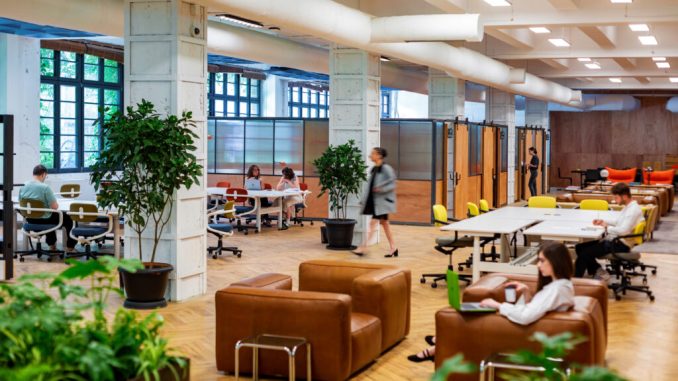 dblock-1024x683 IT-специалист