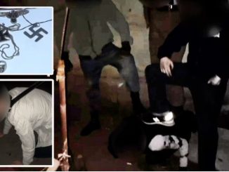 Снимок экрана 2026 01 17