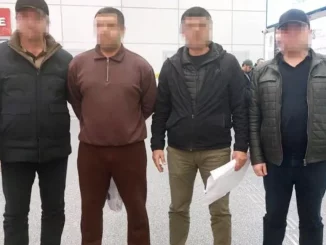 Экстрадиция разыскиваемого лица из Грузии