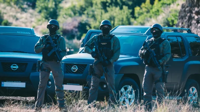 полиция Грузии операция