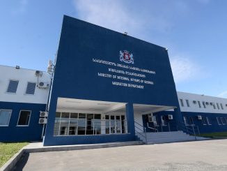 Сотрудники миграционной службы Грузии